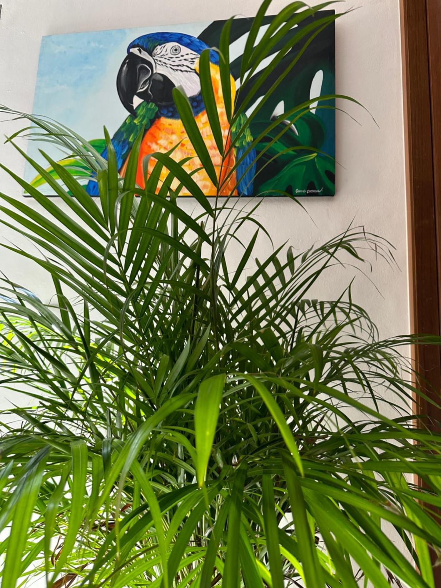 Ferienwohnung Oasis Urban Retreat Cancún Exterior foto